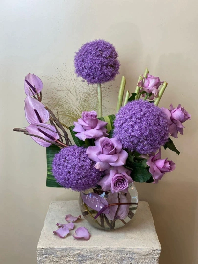 Allium Aranjman